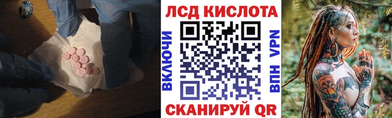 дарнет шоп blacksprut как войти LSD-25 экстази ecstasy Новокубанск