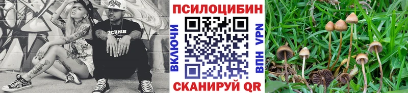 Псилоцибиновые грибы прущие грибы  Новокубанск 