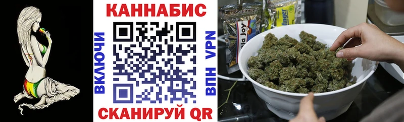 Бошки Шишки SATIVA & INDICA  купить наркотики сайты  Новокубанск 